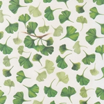 Tassotti Paper- Ginko Biloba 19.5x27.5 Inch Sheet