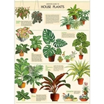 Cavallini Decorative Paper - House Plants 20"x28" Sheet