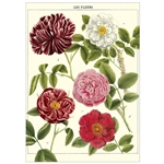 Cavallini Decorative Paper - Les Fleurs 20"x28" Sheet