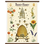 Cavallini Vintage School Chart- Bees & Honey