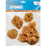 Royal & Langnickel - Combination Sponge Set