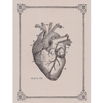 Rossi Limited Edition Letterpress Gift Card- The Heart