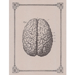 Rossi Limited Edition Letterpress Gift Card- The Human Brain