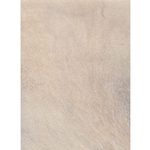 Natural Animal Skin Parchment- Goat 5x7 Inch Sheets