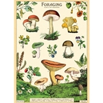 Cavallini Decorative Paper - Foraging 20"x28" Sheet