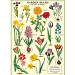 Cavallini Decorative Paper - Garden Bulbs 20"x28" Sheet
