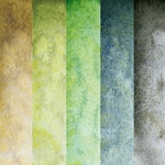 Schmincke Watercolor Supergranulating Colors- "Shire" Collection - Half Pans