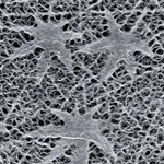 Japanese Lace Paper- Maple Leaves 25"x38" Sheet