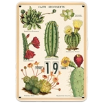 Cavallini Perpetual Calendar- Cacti and Succulents