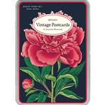 Cavallini Vintage Postcards- Botany