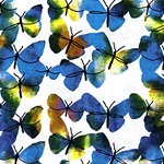 *NEW!* Indian Rainbow Dot Print- Butterflies 22x30"