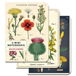 Cavallini Wildflowers Mini Notebook Set