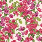 *NEW!* Tassotti Paper - Bougainvillea 19.5"x27.5" Sheet