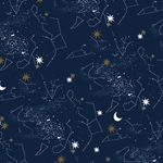 *NEW!* Tassotti Paper - Constellations 19.5"x27.5" Sheet