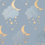 Sweet Dreams in Metallic Silver and Gold on Pale Blue by Midori Inc. 21x29" Sheet