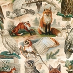 Bomo Art Budapest Papers- Fox and Owl 27.5 x 39 inch Sheet