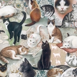Bomo Art Budapest Papers- The Nine Lives of Cats 27.5 x 39 inch Sheet