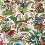 **NEW PATTERN!** Bomo Art Budapest Papers- Magical World of Fungi 27.5 x 39 inch Sheet