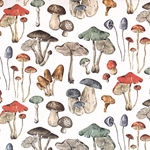 "Rustic Mushrooms" Paper- 20x27" Sheet
