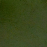 Nepalese Lokta Paper- Asparagus 20"x28" sheet