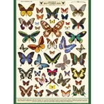 **NEW!** Cavallini Decorative Paper - Field Guide to Butterflies 20"x28" Sheet