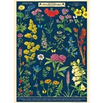 **NEW!** Cavallini Decorative Paper - Field Guide to Wildflowers 20"x28" Sheet