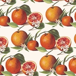 "NEW!!" Tassotti Paper - Oranges 19.5"x27.5" Sheet