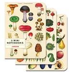 Cavallini Le Jardin Mini Notebook Set