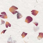 Cotton Rag Papers from India