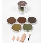 Pan Pastel Set of Five Earth Colors