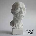 Plaster Casting - Miniature Anatomical Head