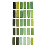 Terry Ludwig Pastels - Warm Greens Set of 30