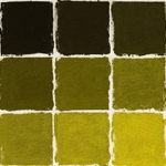 Roche Pastel Values Sets of 9 - Algae Green 5390 Series
