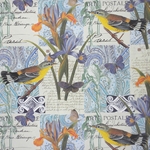 Rossi Decorative Paper from Italy- Birds and Iris 28x40 Inch Sheet