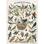 Cavallini Decorative Paper - Nos Bons Petits Oiseaux 20"x28" Sheet