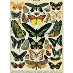 Cavallini Decorative Paper - Papillons 20"x28" Sheet