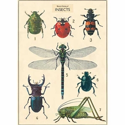 Insect Chart