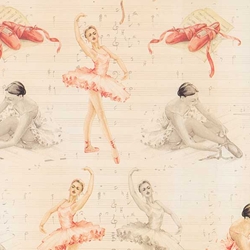 Tassotti Paper- Ballerina 19.5x27.5 Inch Sheet