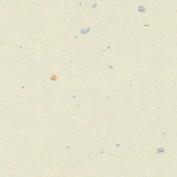 Japanese Metallic Fleck Paper- Kingin Cream