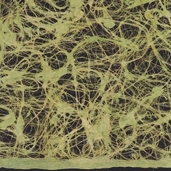 Amate Bark Paper from Mexico- Lace Verde Seca 15.5x23 Inch Sheet
