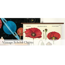 Cavallini Vintage School Chart
