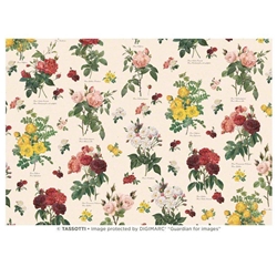 Tassotti Paper- Antique Scatter Roses 19.5" x 27.5"