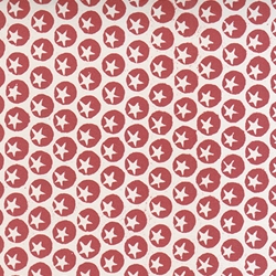 Tassotti Paper- Stella Lucente 19.5" x 27.5"