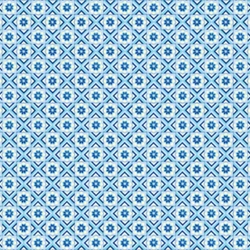 Tassotti Paper - Quadrelle Blu 19.5" x 27.5" Sheet