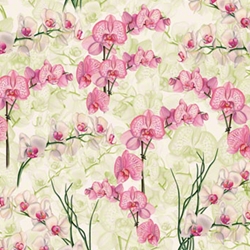 Tassotti Paper - Orchidea 19.5" x 27.5" Sheet