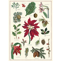 Cavallini Decorative Paper- Christmas Botanical 20x28" Sheet