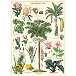 Cavallini Decorative Paper - Tropical Plants 20"x28" Sheet