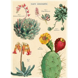 Cavallini Decorative Paper - Cacti & Succulents 2 Wrap 20"x28" Sheet