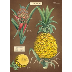 Cavallini Decorative Paper - Pineapple 20"x28" Sheet
