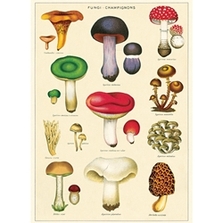 Cavallini Decorative Paper - Mushrooms 2 Wrap 20"x28" Sheet